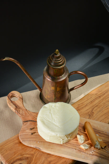 MOZZARELLA PEYNİRİ ( MANDA SÜTÜNDEN )