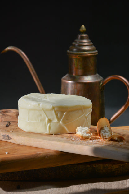 MOZZARELLA PEYNİRİ ( MANDA SÜTÜNDEN )
