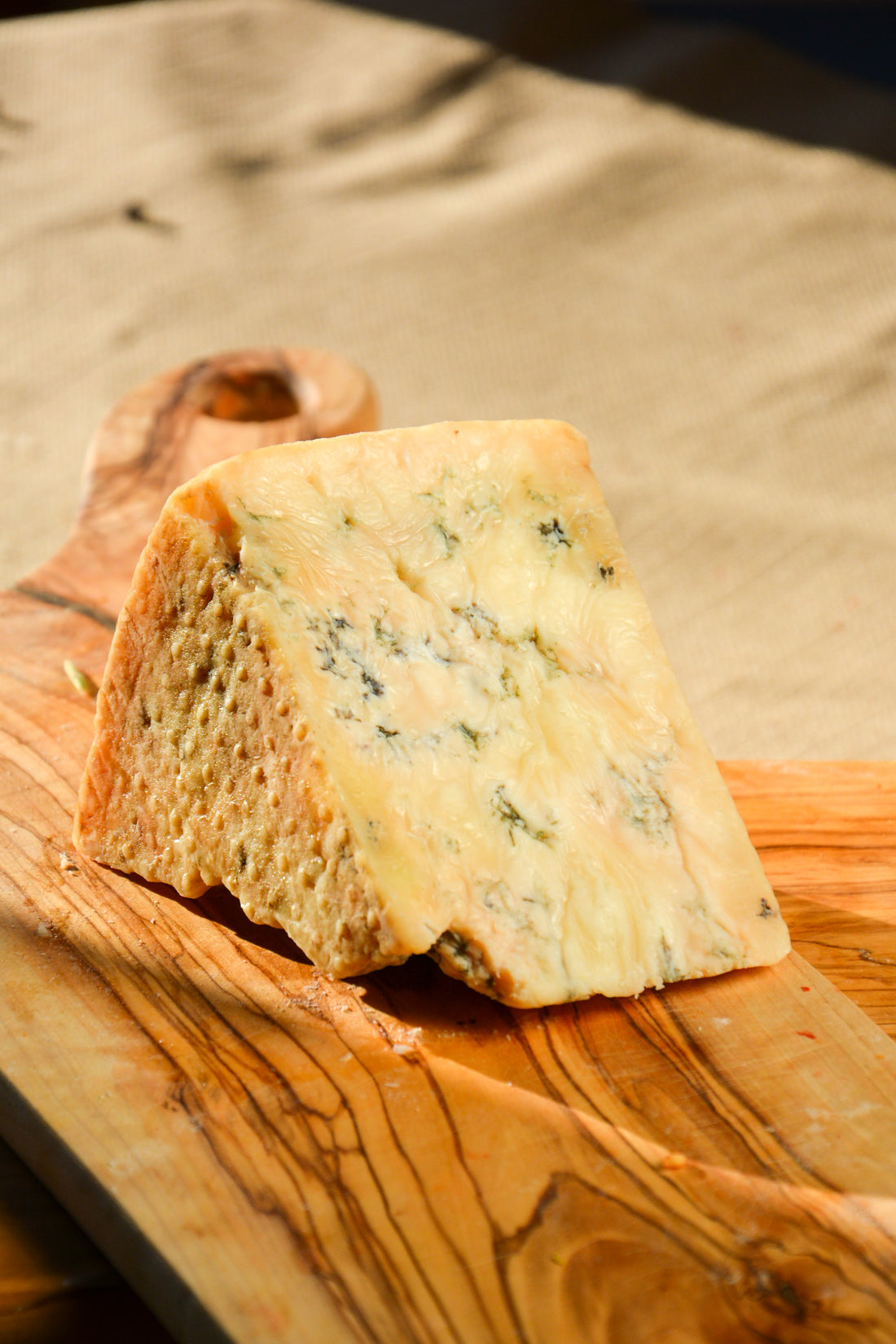 GORGONZOLA PEYNİRİ