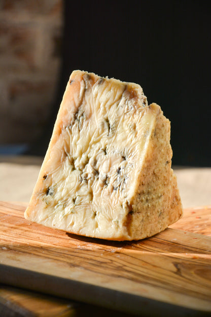 GORGONZOLA PEYNİRİ