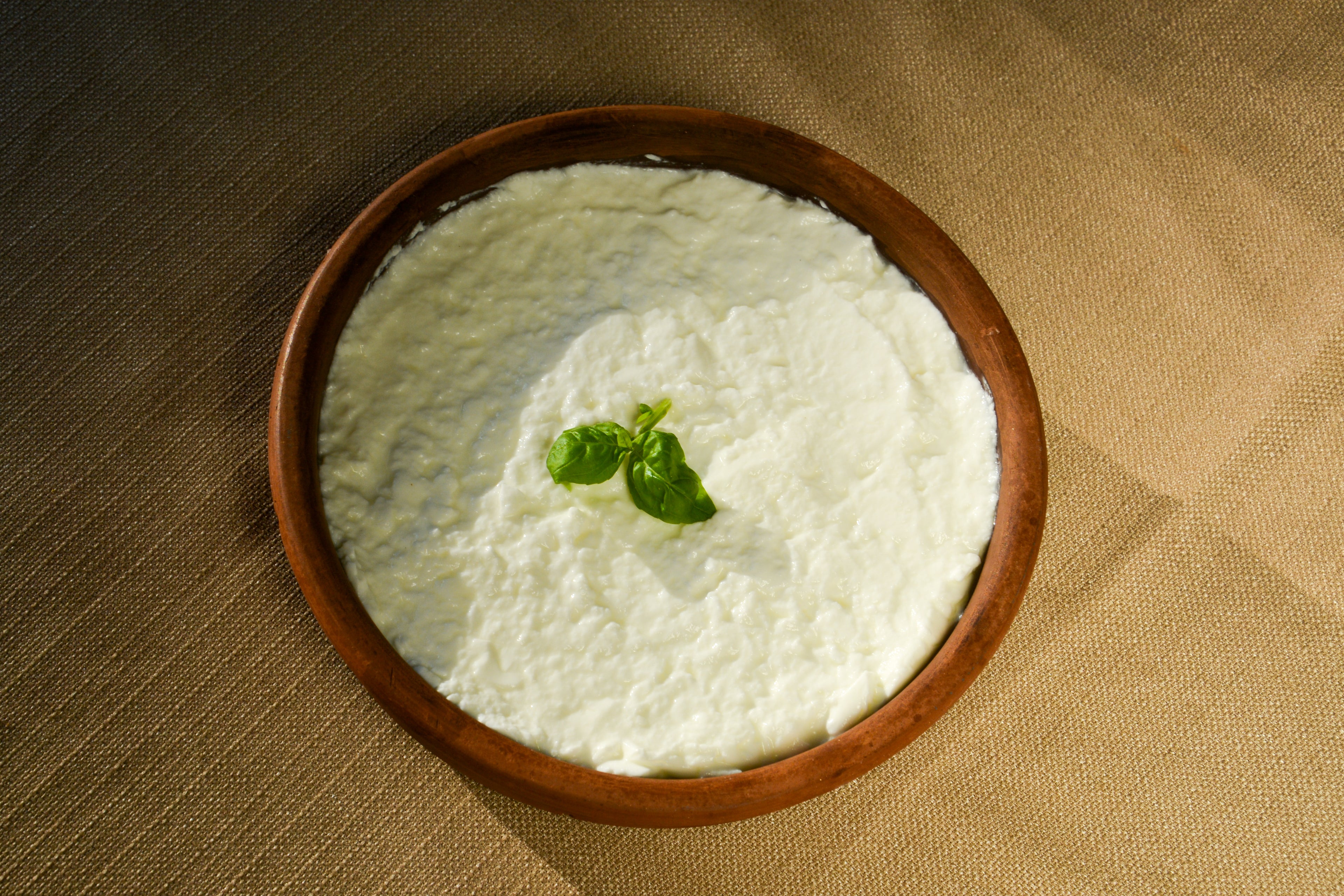 MANDA YOĞURT